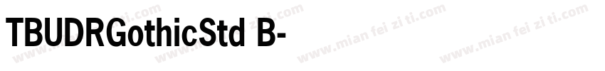 TBUDRGothicStd B字体转换